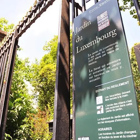 Short Luxembourg *