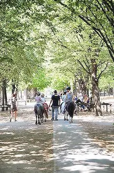 Short Luxembourg París